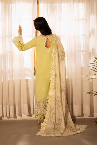 Sajni Lawn Collections