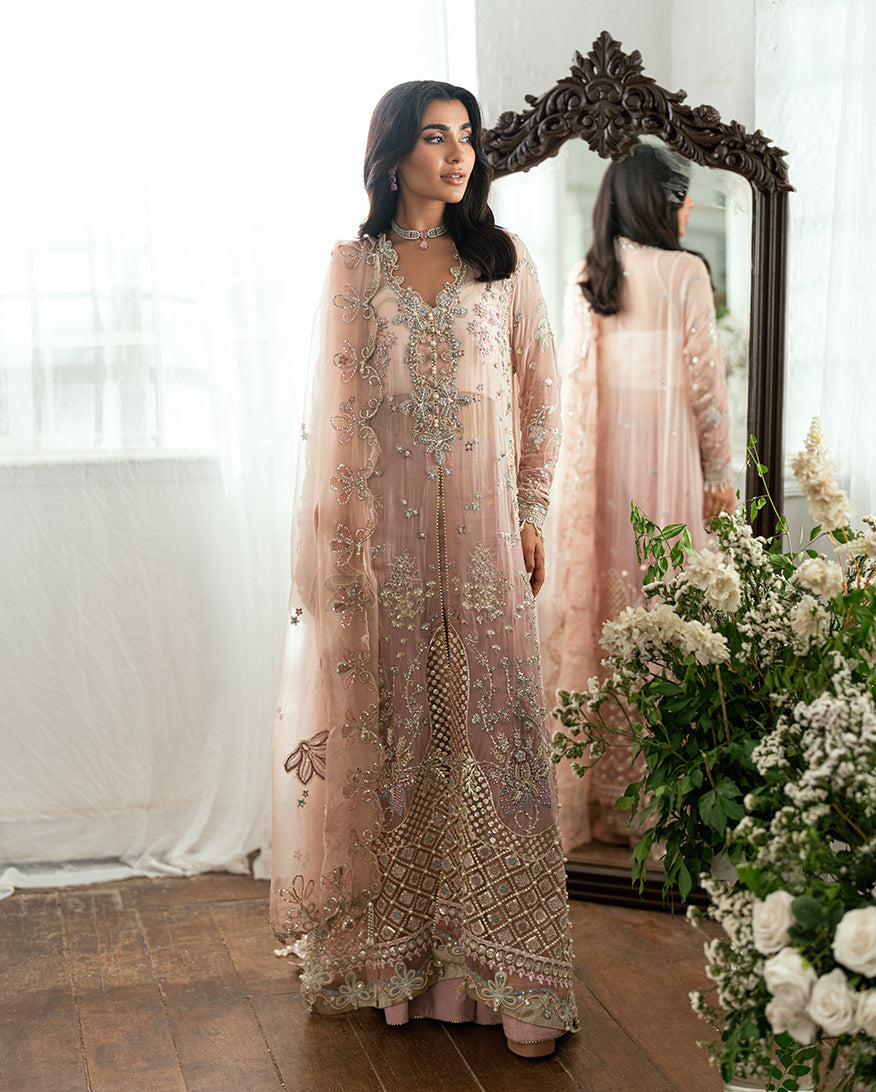 Sham Shandaar Festive Chiffon