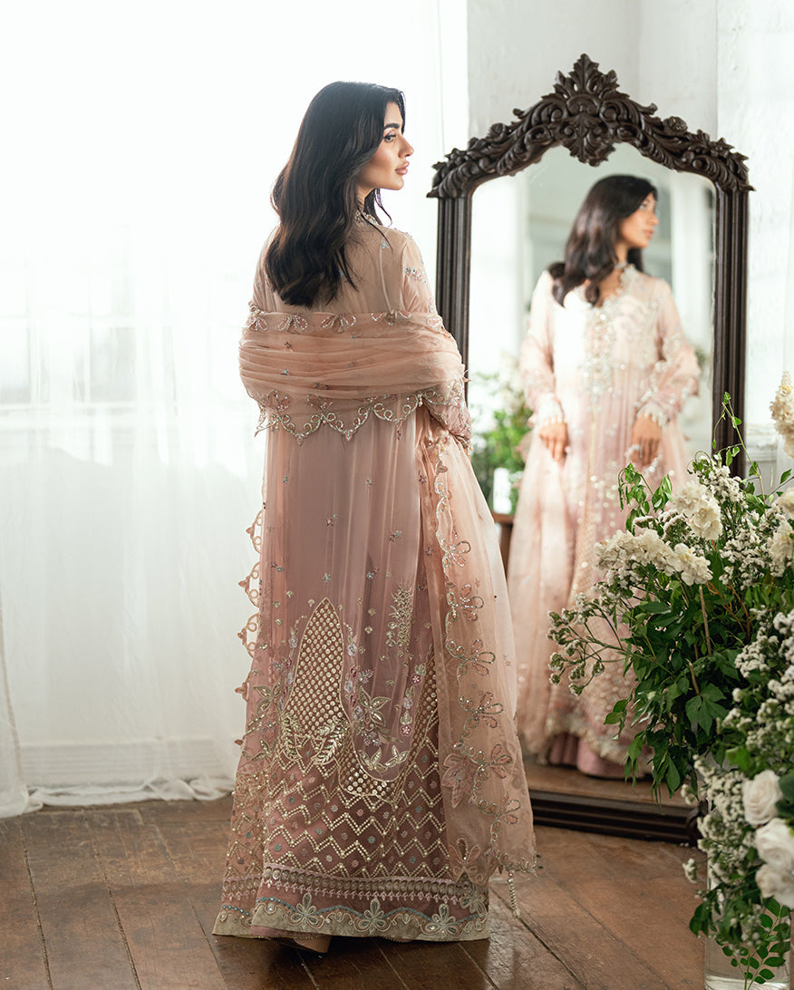 Sham Shandaar Festive Chiffon