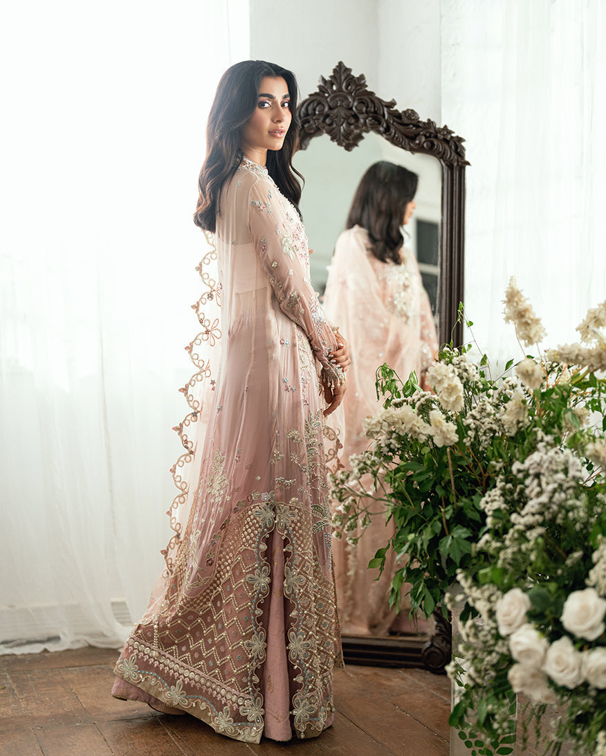 Sham Shandaar Festive Chiffon