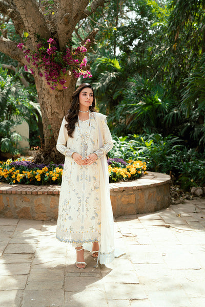 Luxury Lawn Collection