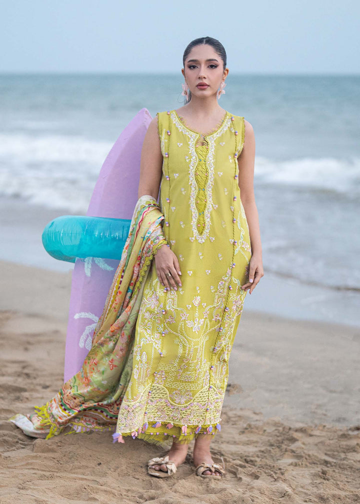mira-summer-lawn-26
