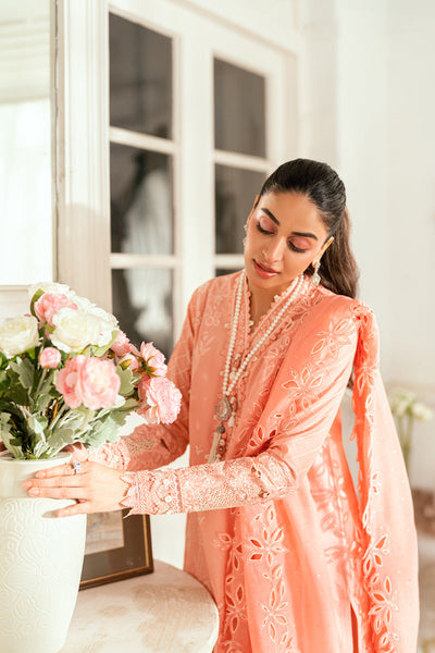 Luxury Lawn Collection
