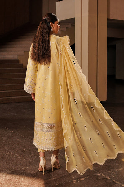 Afrozeh Chikankari Lawn || Canary