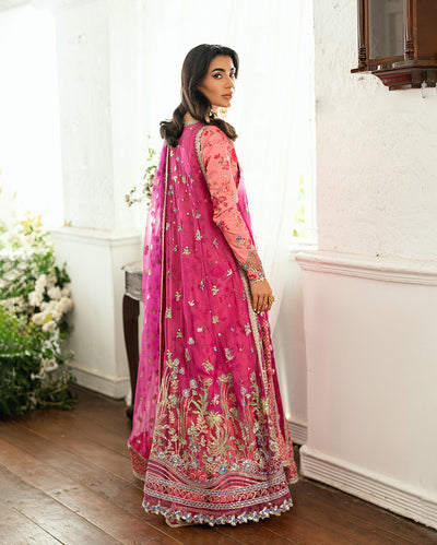 Sham Shandaar Festive Chiffon