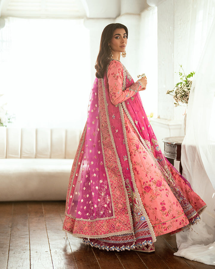 Sham Shandaar Festive Chiffon