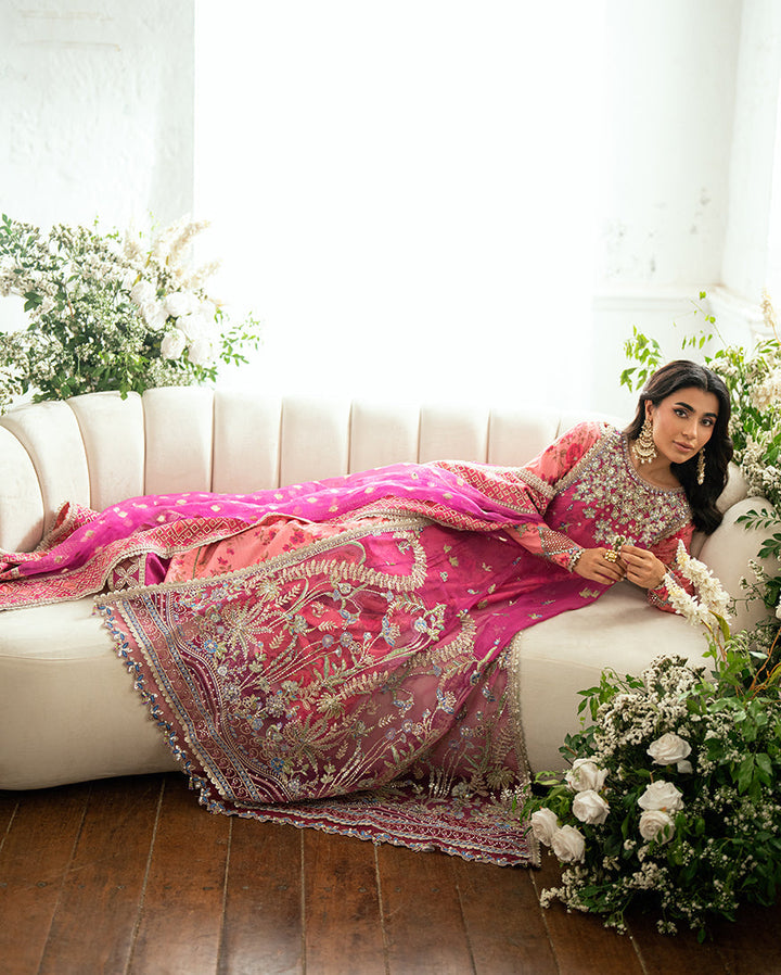 Sham Shandaar Festive Chiffon
