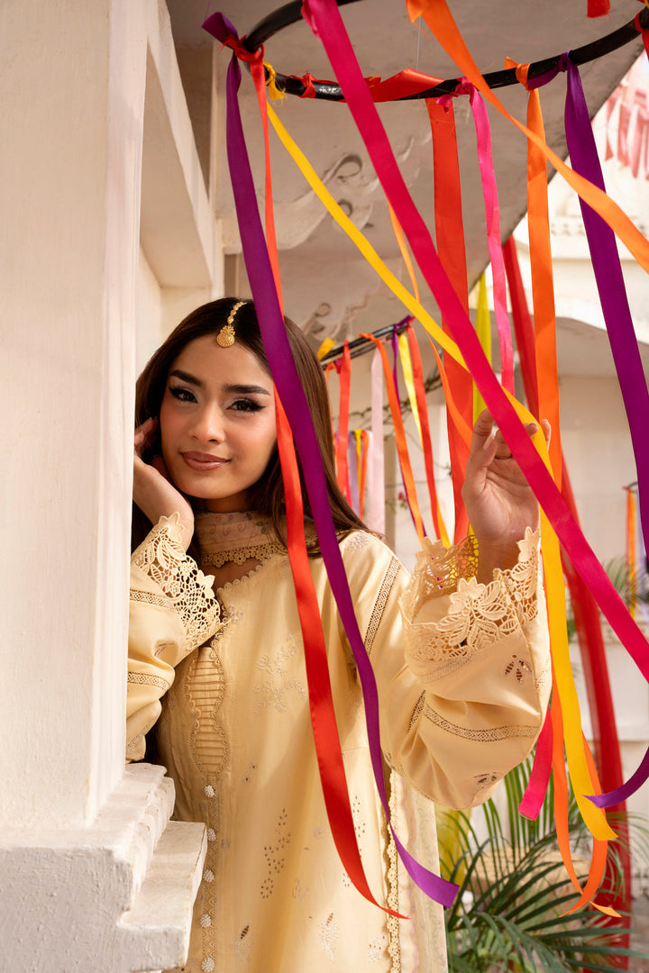 Basant ChikenKari Collections