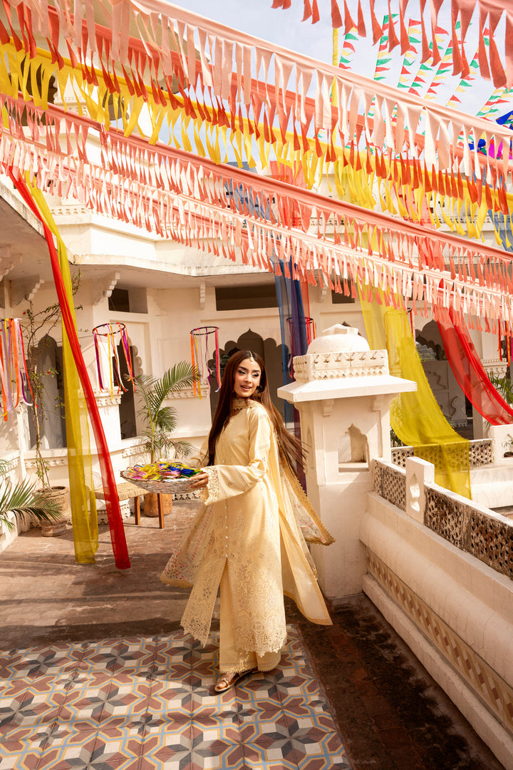 Basant ChikenKari Collections