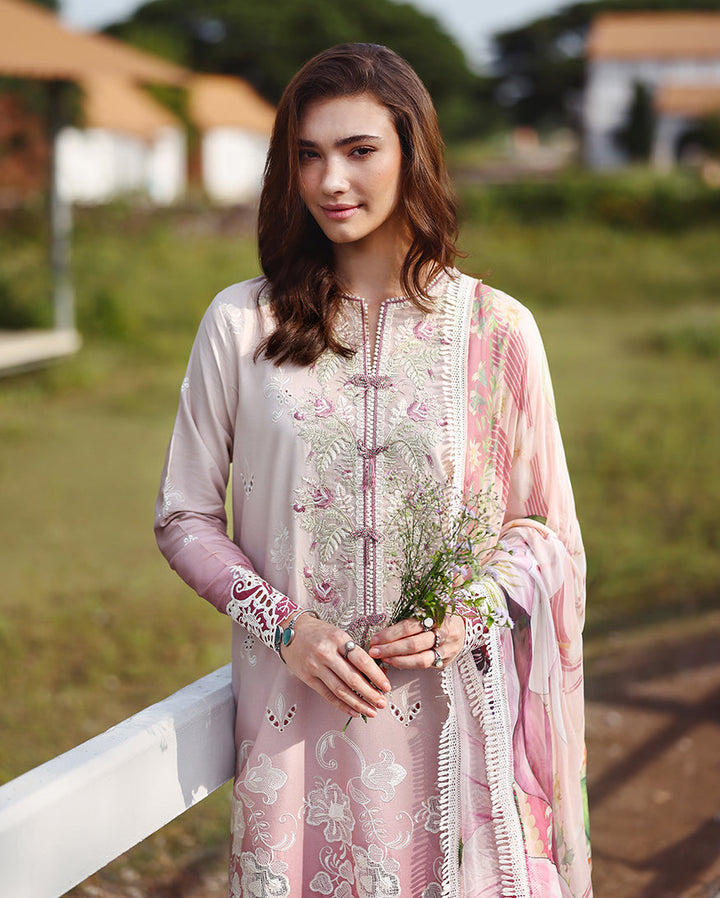 solace ombre chikankari