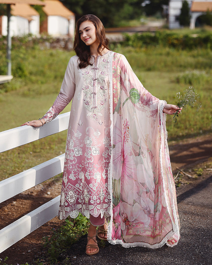 solace ombre chikankari
