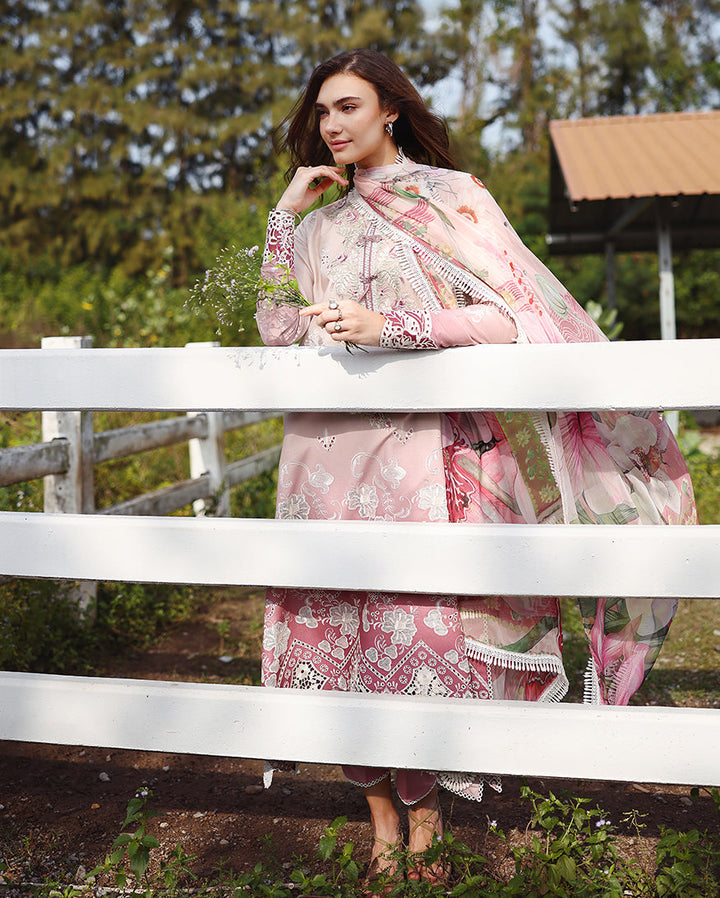 solace ombre chikankari