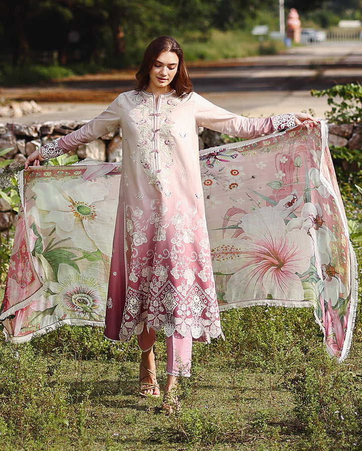 solace ombre chikankari