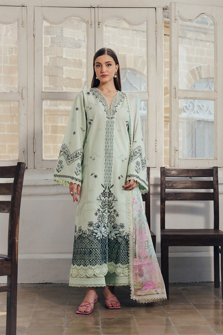 Daybreak LAWN Collections