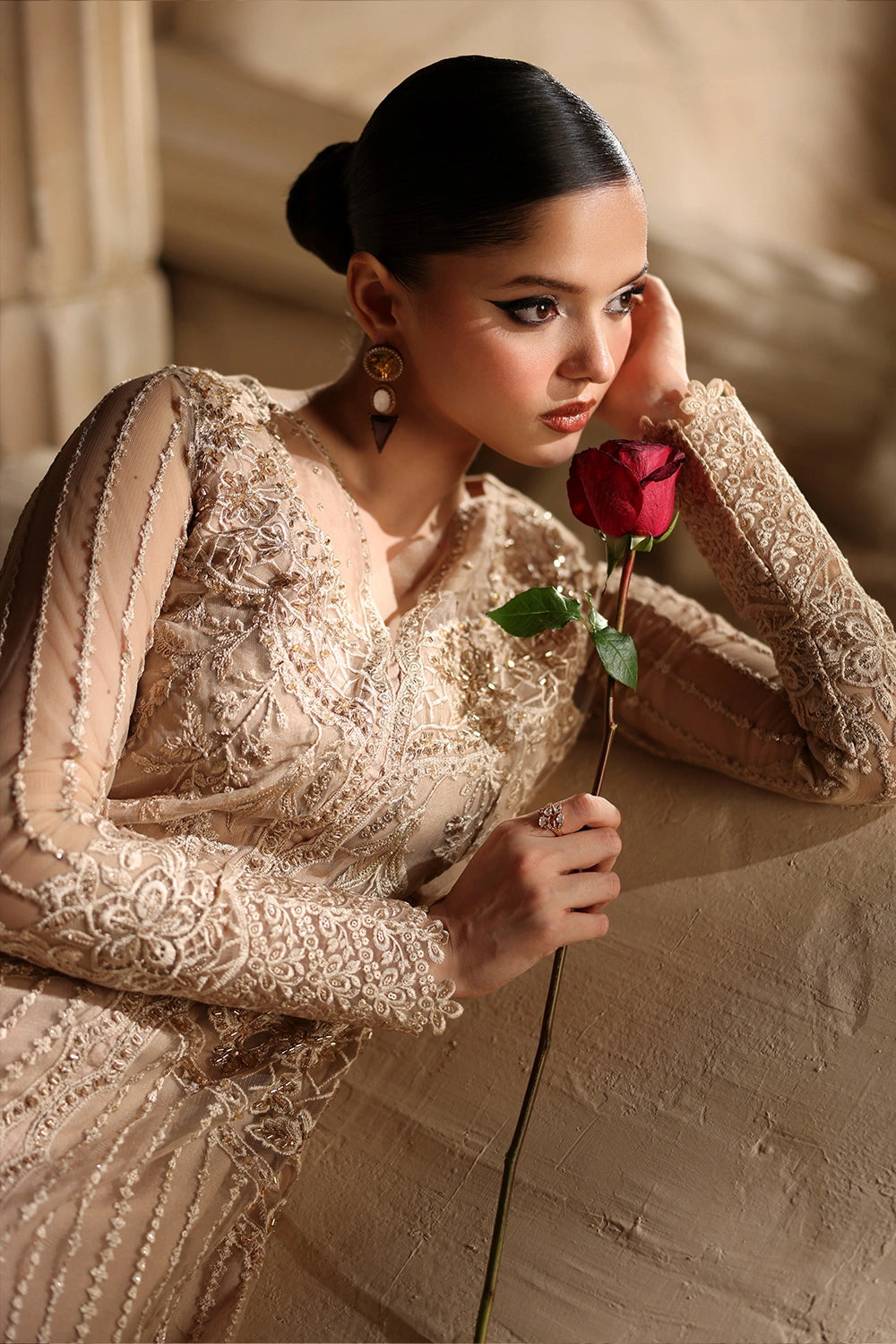 Luxe Embroidered Chiffon