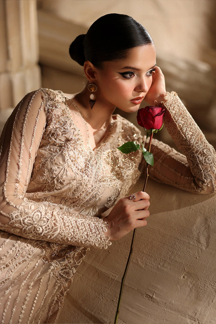 Luxe Embroidered Chiffon