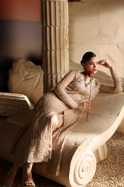 Luxe Embroidered Chiffon