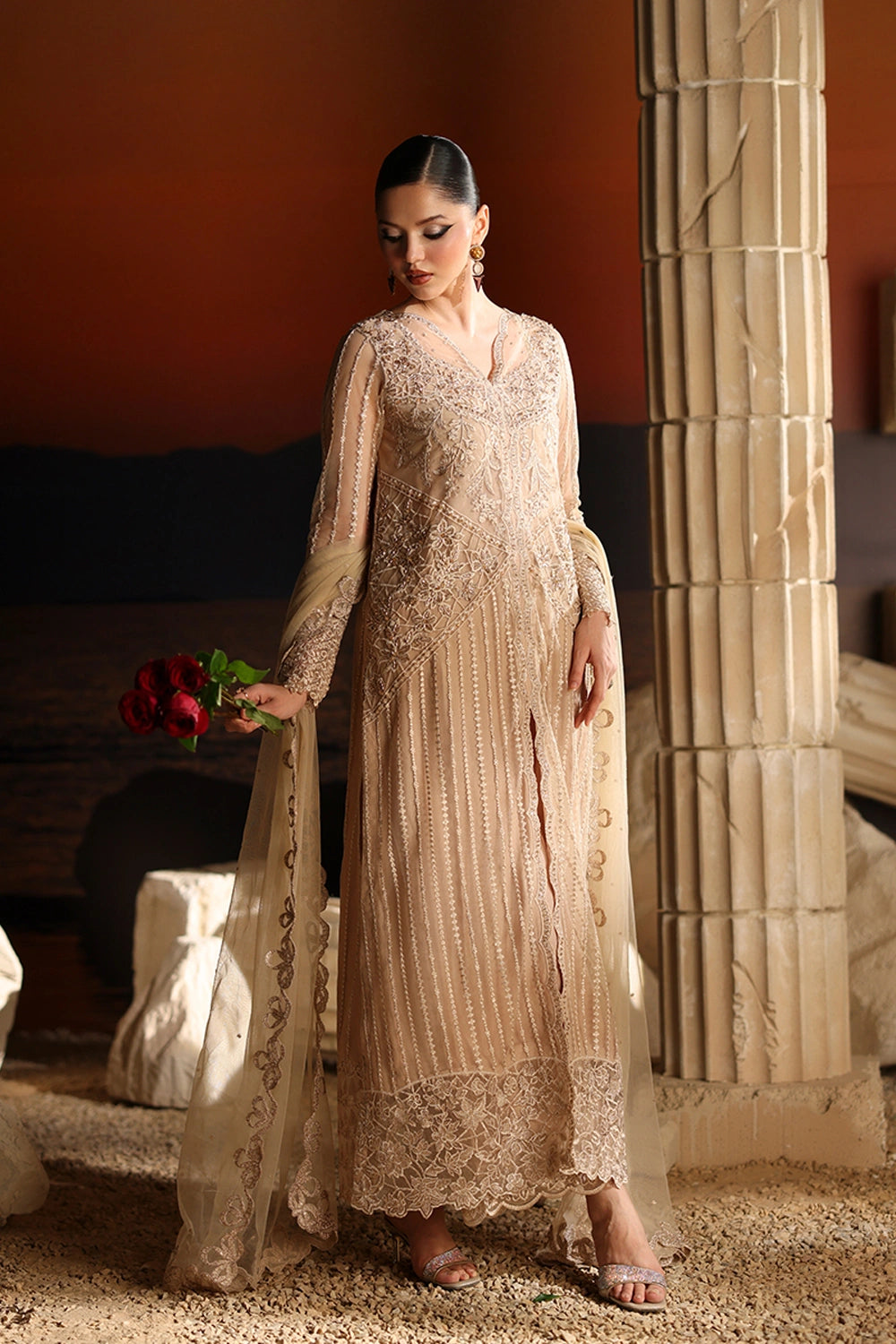 Luxe Embroidered Chiffon