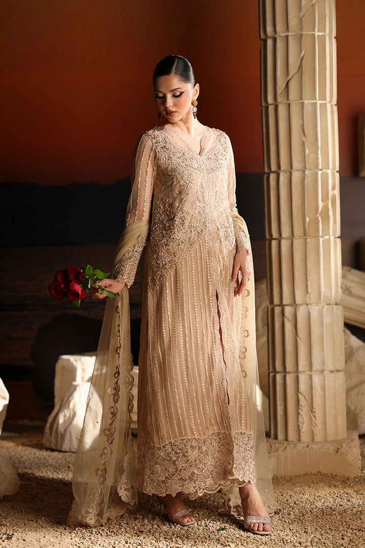 Luxe Embroidered Chiffon