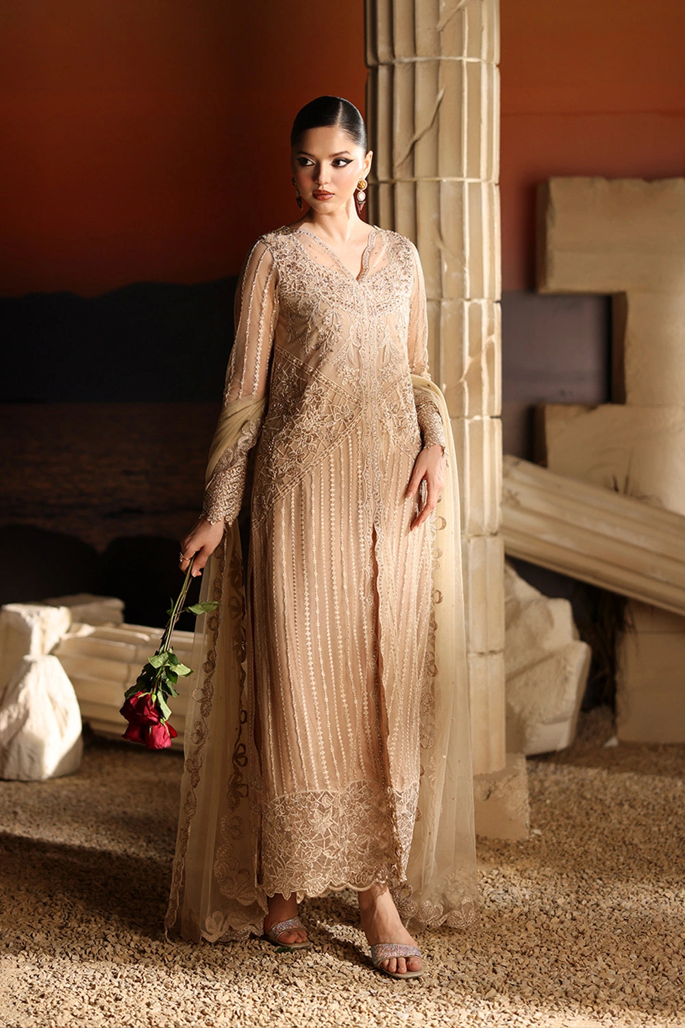 Luxe Embroidered Chiffon