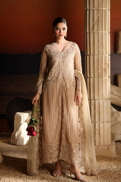 Luxe Embroidered Chiffon