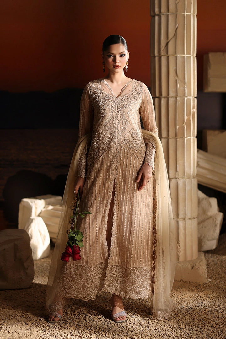 Luxe Embroidered Chiffon