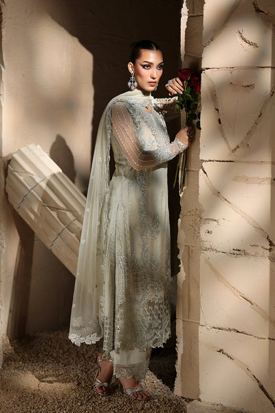 Luxe Embroidered Chiffon