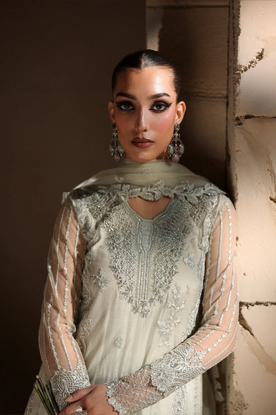 Luxe Embroidered Chiffon