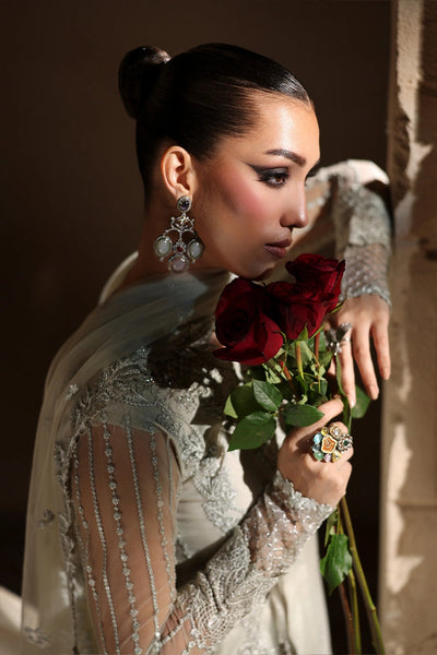 Luxe Embroidered Chiffon