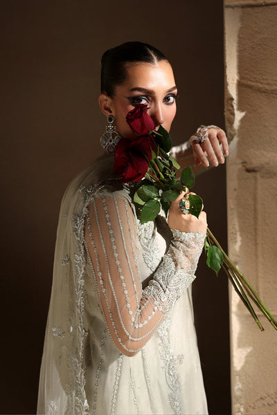 Luxe Embroidered Chiffon