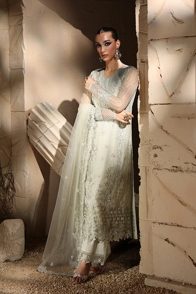 Luxe Embroidered Chiffon