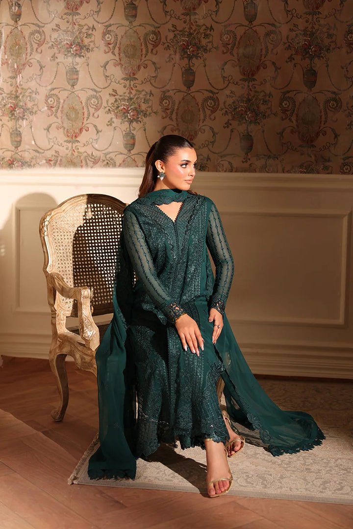 Embroidered Chiffon