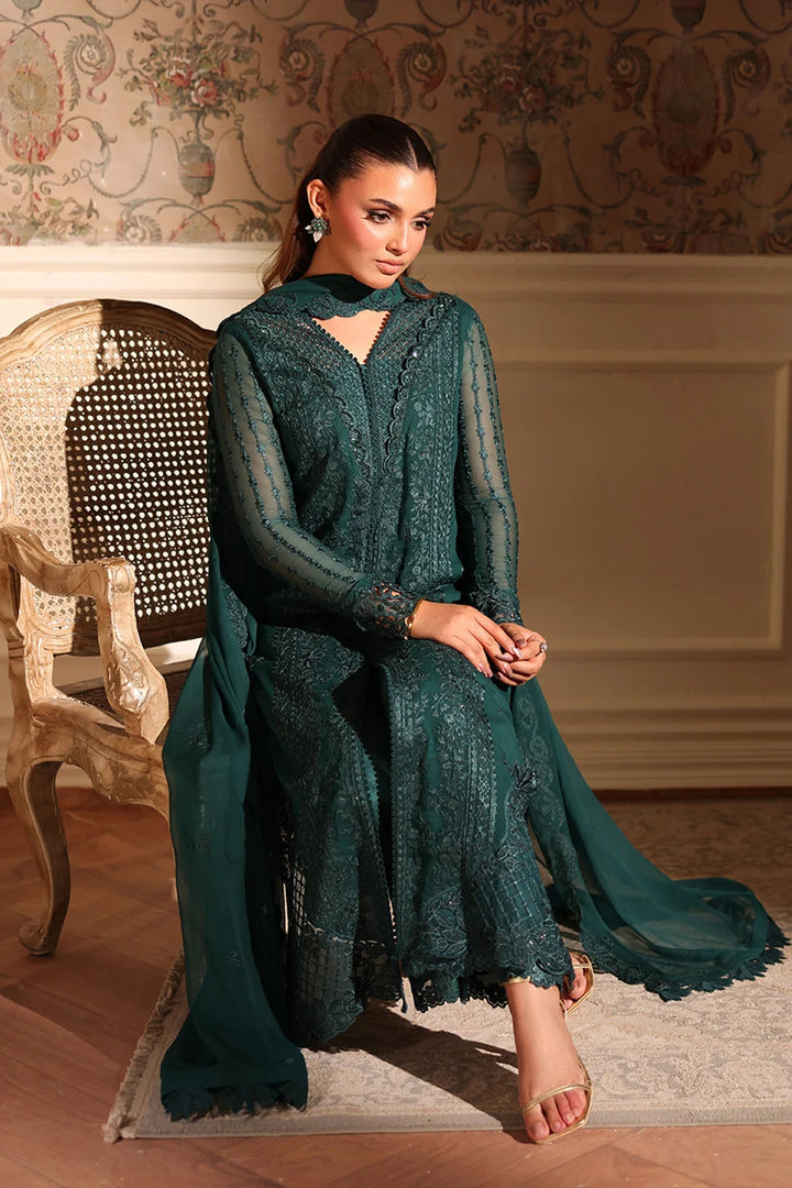 Embroidered Chiffon