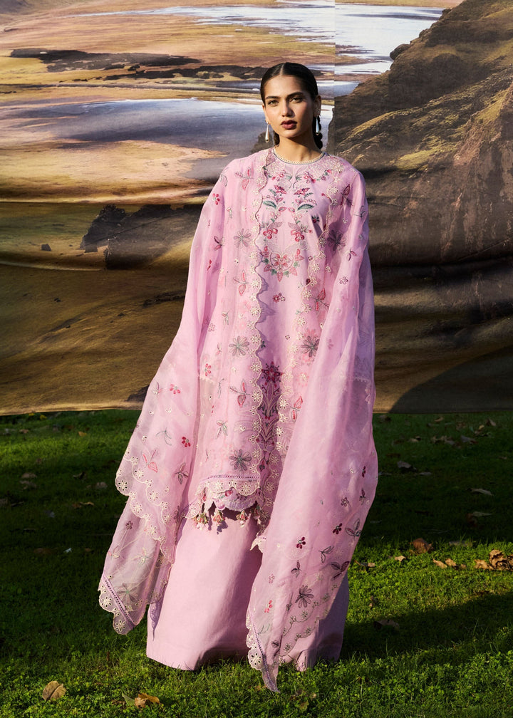 Zan Lawn Collections