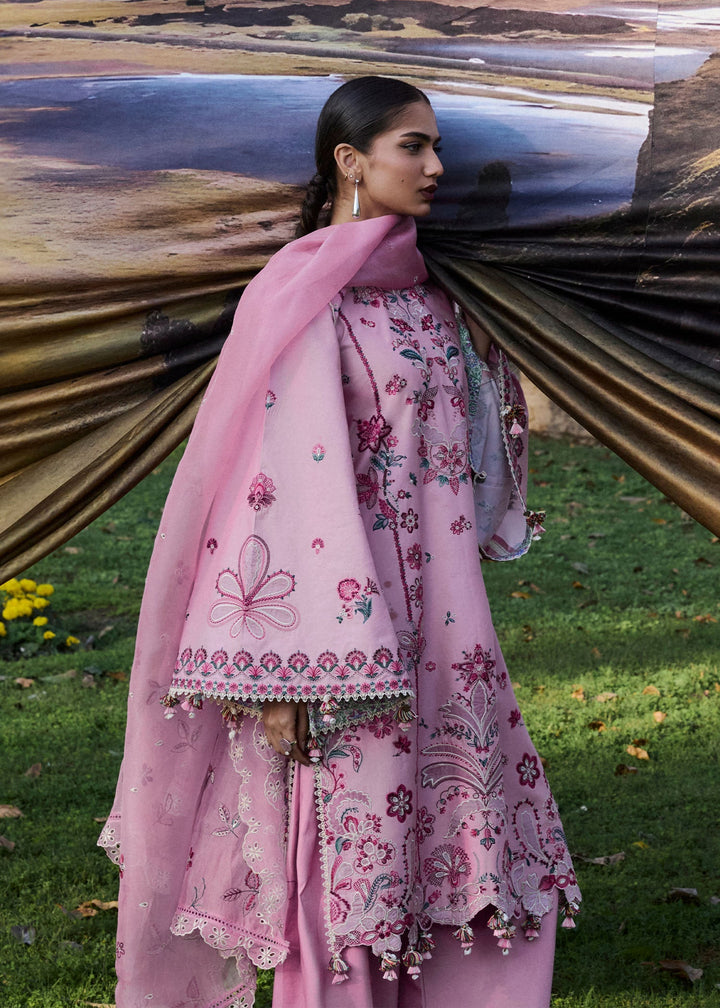 Zan Lawn Collections