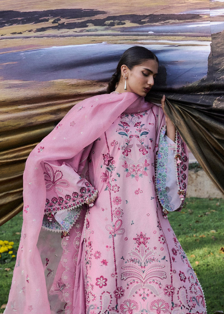 Zan Lawn Collections