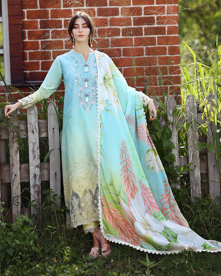 solace ombre chikankari
