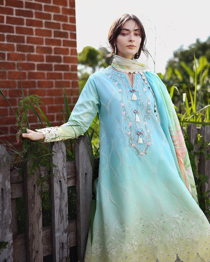 solace ombre chikankari