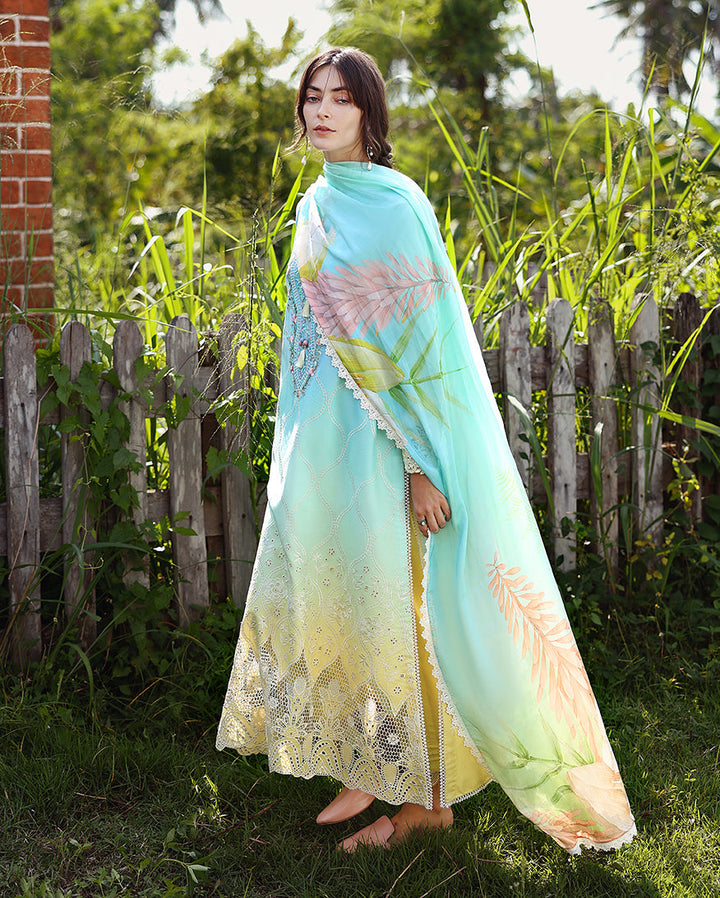 solace ombre chikankari