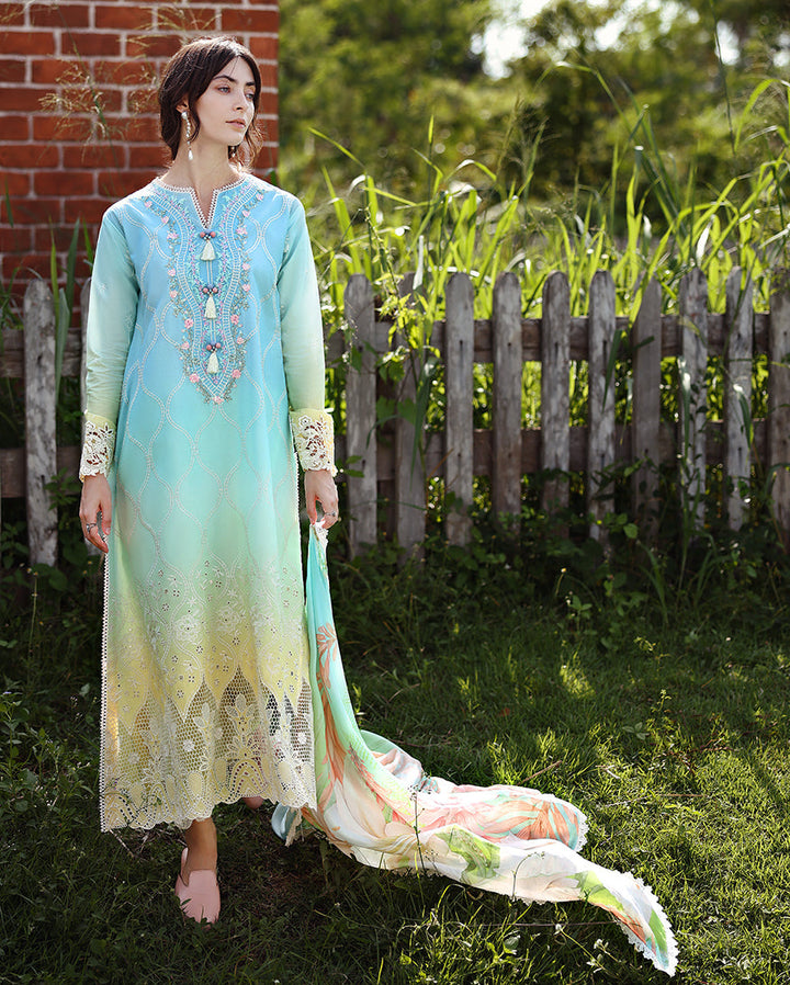 solace ombre chikankari