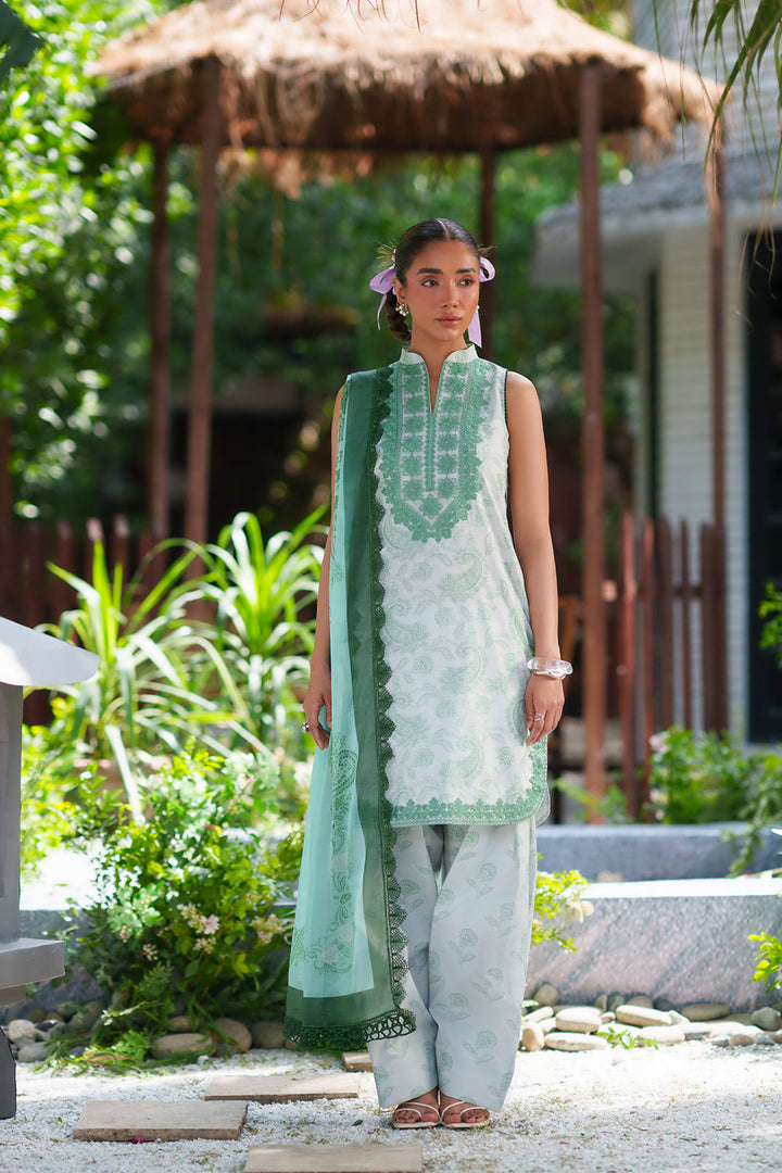 laanem Lawn Collections