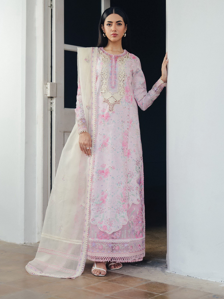 Daybreak LAWN Collections
