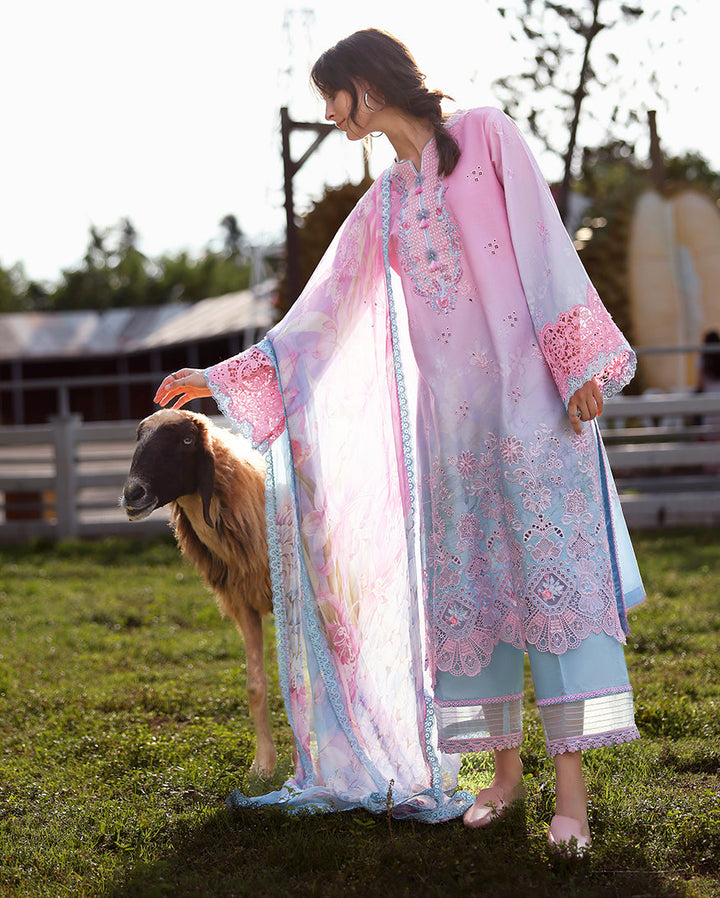 solace ombre chikankari