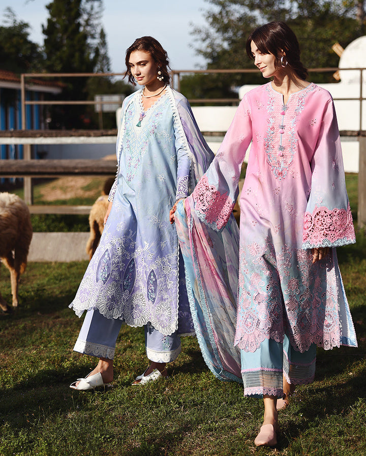 solace ombre chikankari