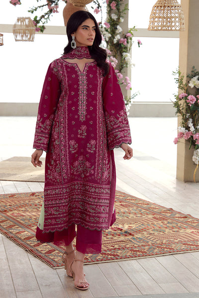 Aaliyah Festive Pret Collection