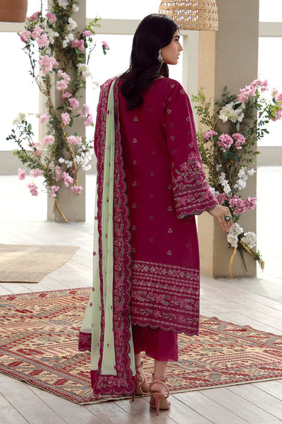 Aaliyah Festive Pret Collection