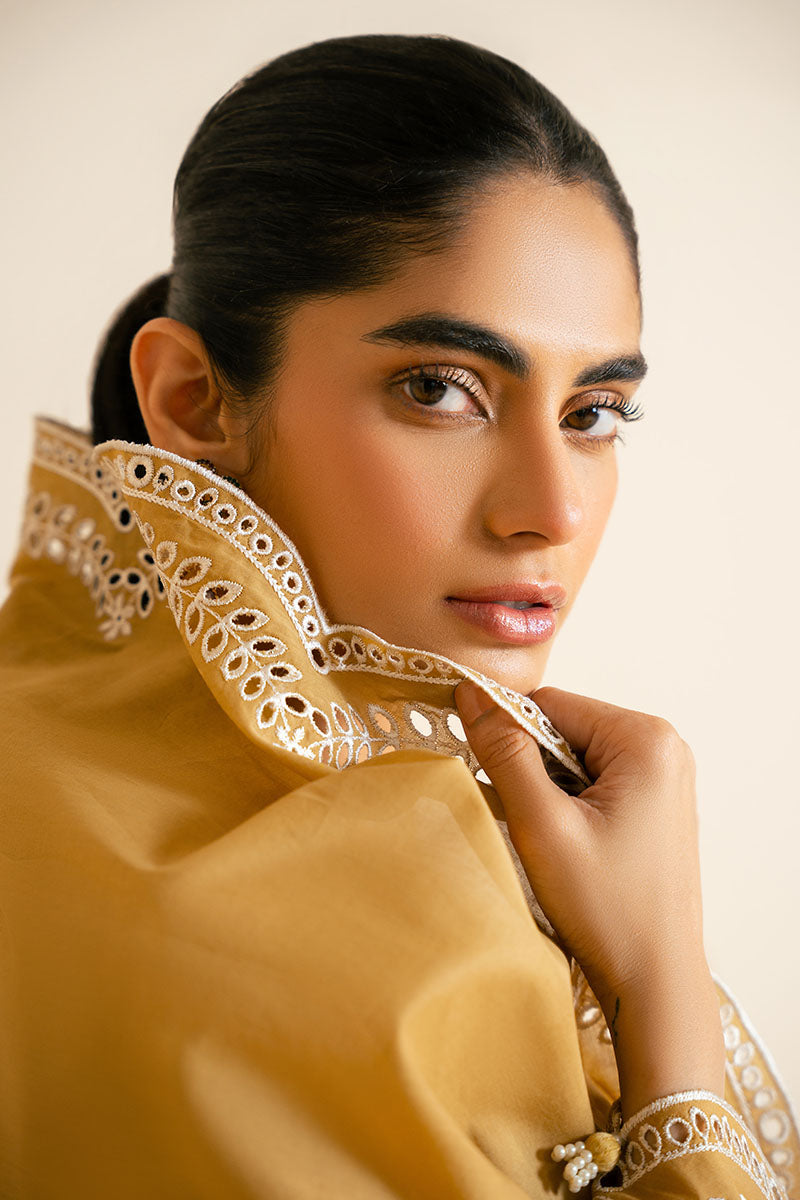 3PC CHIKANKARI SUIT