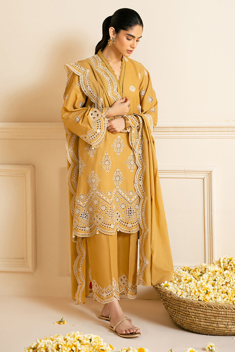 3PC CHIKANKARI SUIT