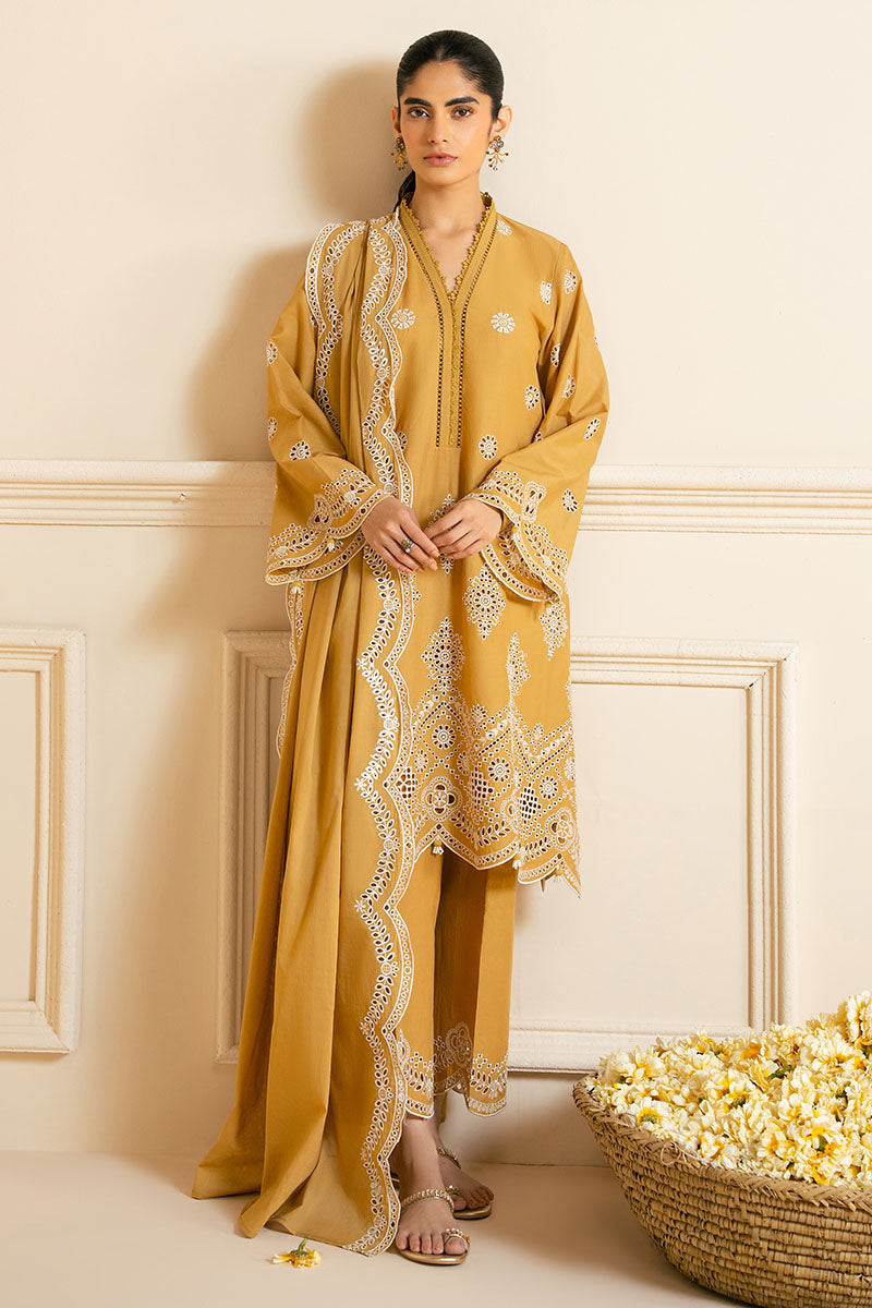 3PC CHIKANKARI SUIT