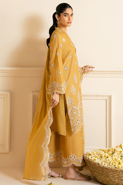 3PC CHIKANKARI SUIT